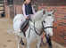 Lovely lead rein/FR showing prospect