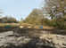 Grazing land available for long term rent headcorn Kent