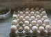 Pekin bantam eggs