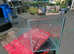 CURVED FRONT FISH TANK 200 LITERS 10MM GLASS