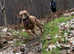 looking to rehome