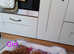 KC Red Toy poodle puppies first vaccination completed and vet health check