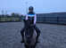 New Forest 13.2 Gelding