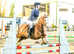 !!13.2 Reg SEC C riding pony!!