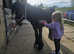 10.2hh mini cob ted
