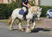 Family cob
