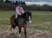 Loveable child's pony