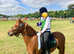 11.1hh genuine, all round LR and/or FR pony