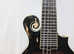 Gold Tone Manditar 12-String Mandolin Guitar - A Real Super Bargain !!!