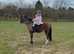 Loveable child's pony