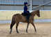 Potential hoys contender