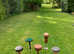 Hawk Falcon bows& blocks