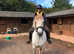 14.2hh Connemara looking for help with exercising in South Hams
