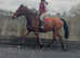 16.3/17hh bfg happy hacker/ alrounder