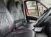 Peugeot Boxer 2 Stall Horsebox