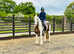 Gypsy super safe cob
