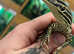 Argus Monitors (Varanus panoptes) at Birmingham Reptiles