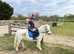 Alice - amazing lead rein pony