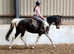 Super summer project mare