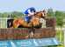 Thoroughbred gelding