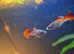 Sunset Guppies
