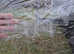 Kampa hayling 6 tent and extension