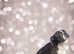 ** BOSTON TERRIER FEMALE KC REG **
