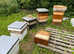 Bees beehives
