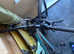Forme Curbar Ladies Mountain Bike 17inch - Used For Only 30 Minutes!