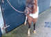 Orieo toba¬no dun colt
