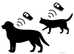 Pet Microchipping