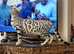 F5 / 5G Silver Blue Charcoal Bengal Brothers Kittens 5th Gen Asian Leopard