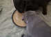 Quality puppies 1 boy 2 girls KC REG