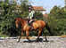 Potential Eventer
