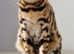 Bengal girl