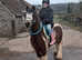 Rolo 12hh gelding