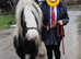 Pony 12.2 cob mare 9yo lead rein and second pony