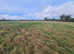 Land for sale at South Wraxall