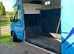 Renault master horse box