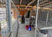 Kennel Block