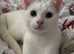 Beautiful boy Yuki