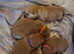 Chow chow puppies 4 left