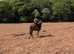 Lovely big low level allrounder / happy hacker