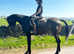 Flashy, 15.2 TB mare