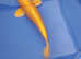 High Grade Koi carp fron £5