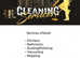 Cleaning services