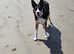 Female collie