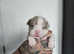 Micro bully pups looking for new homes