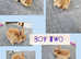 5 beautiful litter of dwarf lionhead cross mini lion lop ready to reverse