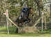 Belle 16.2hh, 16 year old Irish Sports horse